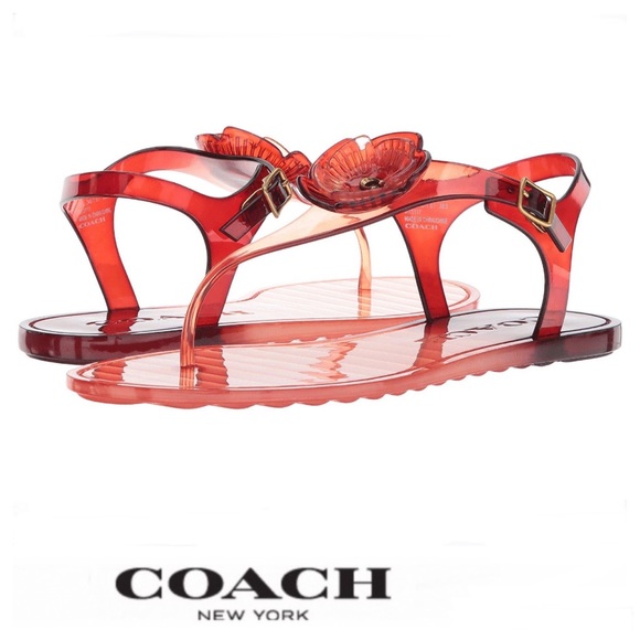 coach tea rose jelly sandals